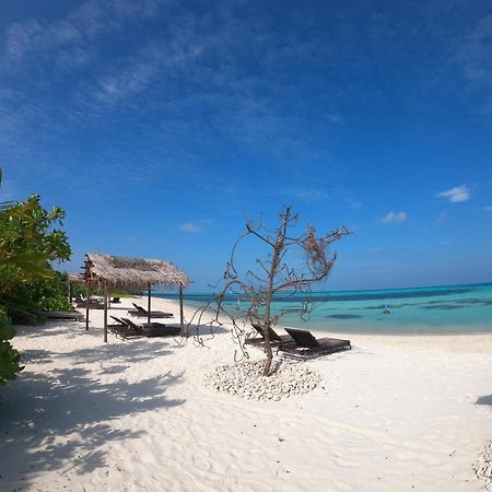 Shamar Guesthouse & Dive Maamigili Island Exterior photo