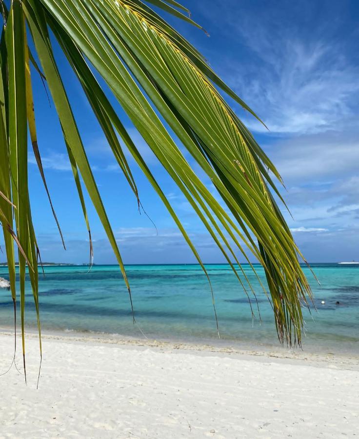 Shamar Guesthouse & Dive Maamigili Island Exterior photo